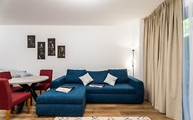 Wise Nest Studio